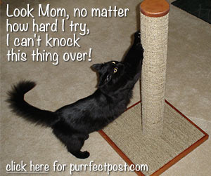 Look Mom, no matter how hard I try, I can't knock this thing over!