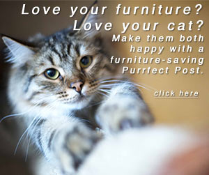 Love your furniture? Love your cat? Make them both happy with a furniture-saving Purrfect Post.