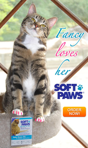 SoftPaws Fancy Loves