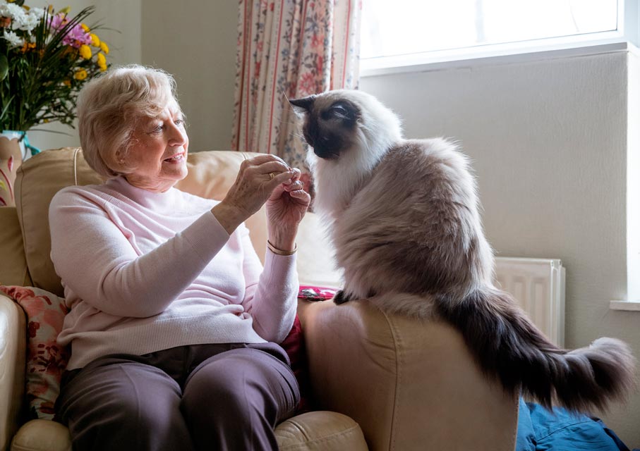 Having a cat can have great benefits for elderly people.