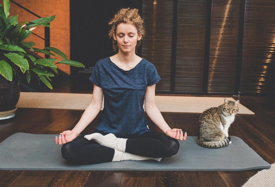 These techniques can help calm a cat.