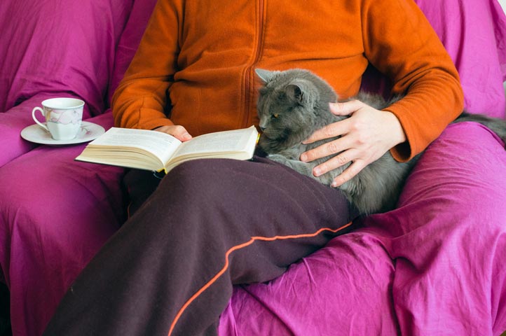 How can you make your cat cuddle with you? Can you turn an aloof cat into a lap cat?