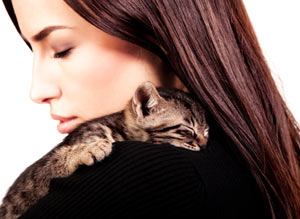 Walk through a declaw surgery with a kitten.