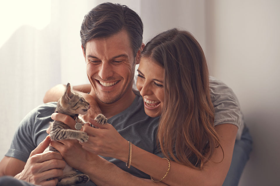 Extra things to up your cat-owning game. Learn to be a great cat owner.