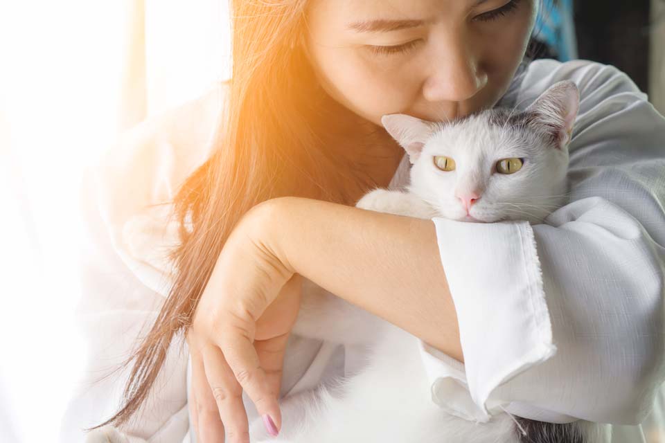 Not all cats like being kissed. Learn whether it’s okay to kiss your cat.
