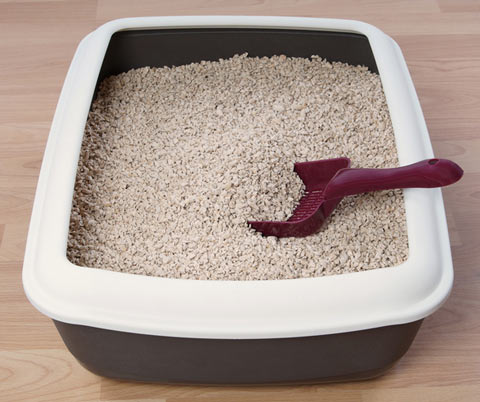 Learn how to properly clean a litter box.