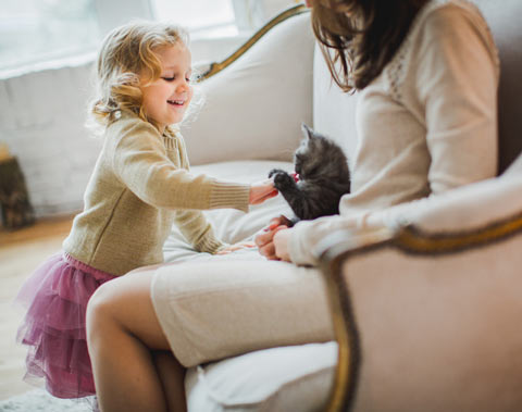 Create a safe home for your cats and your kids. Keep your home safe for cats and kids.